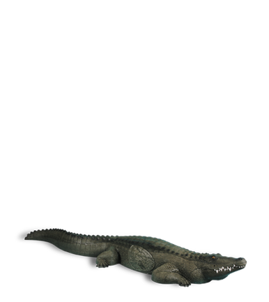 Alligator - Rinehart Targets
