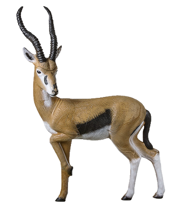 gazelle_450x505__71988.