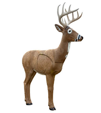 Signature Jimmy Big Tine - Rinehart Targets