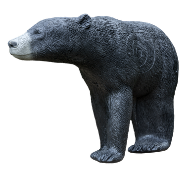 Signature-Black-Bear-2__45636.