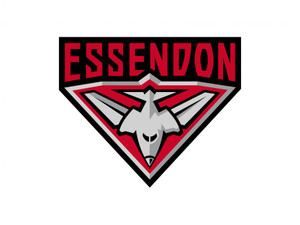 2025 Team Signed Essendon Home Guernsey 2025 Team Signed Essendon Home Guernsey