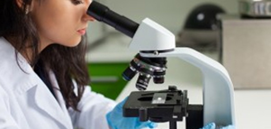 Microscope Lamps Distributor