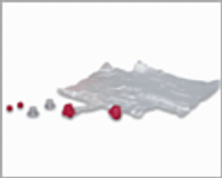 Life/Form Fat Old Fred Airways Lungs (Pack of 24)