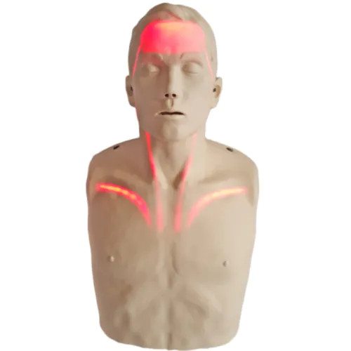 Brayden PRO Manikin With Bluetooth App Support and RED LED lighting