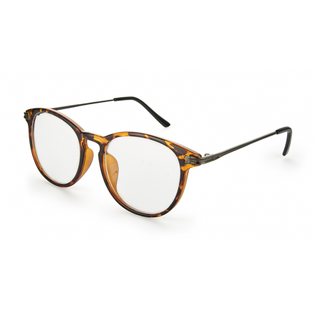 GAFAS NORDIC NASSJO 2.50
