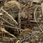 Realtree Camo Shower Curtains Realtree Camo Bed And Bath