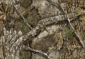 Close-up of Realtree APX camo hydrographic film showing detailed bark and leaf pattern main.
