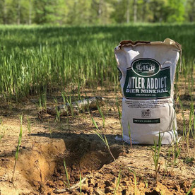 4S Advanced Wildlife Solutions Antler Addict Deer Mineral Bag