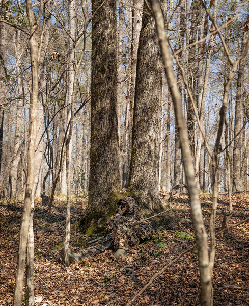 NMG-AC__leafy_set_detail3