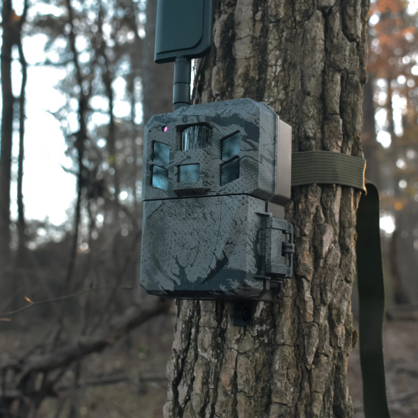 Spartan GoLive 3 4G/LTE trail camera mounted to a tree in a wooded environment, featuring Realtree APX camouflage and cellular antenna.