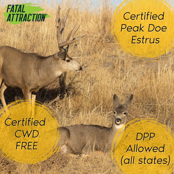 Zone Protects Fatal Attraction Deer Attractant Peak Doe Estrus | Realtree EDGE