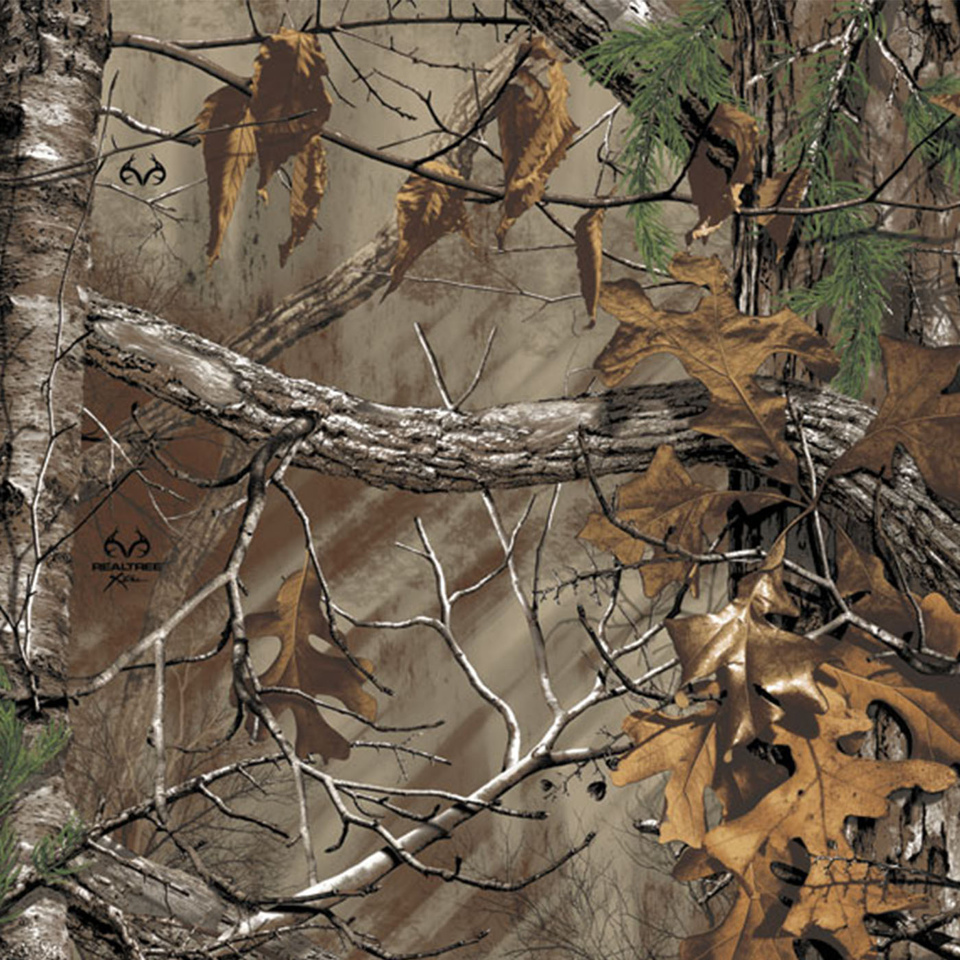 realtree xtra brown