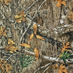 Shop Realtree Men's Long Sleeve Shirt