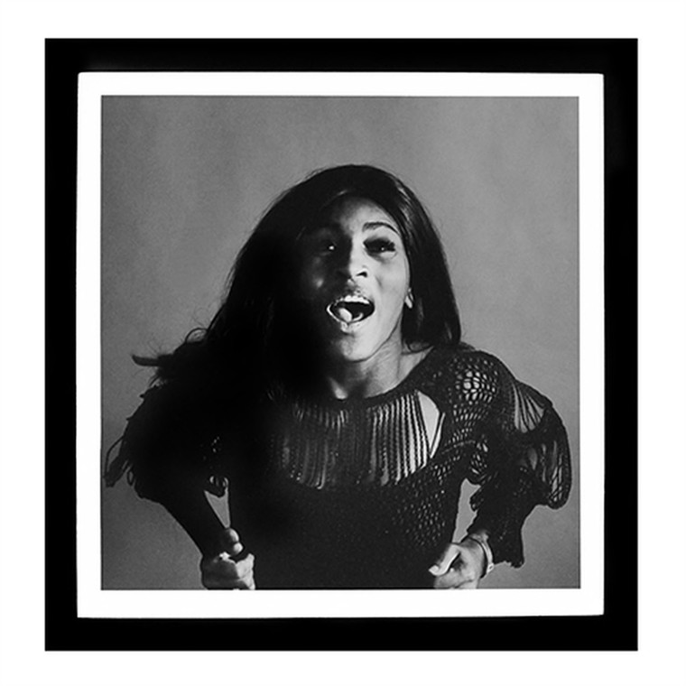 Worlds Away Tina Turner in Black and White 16 x 16 TT03