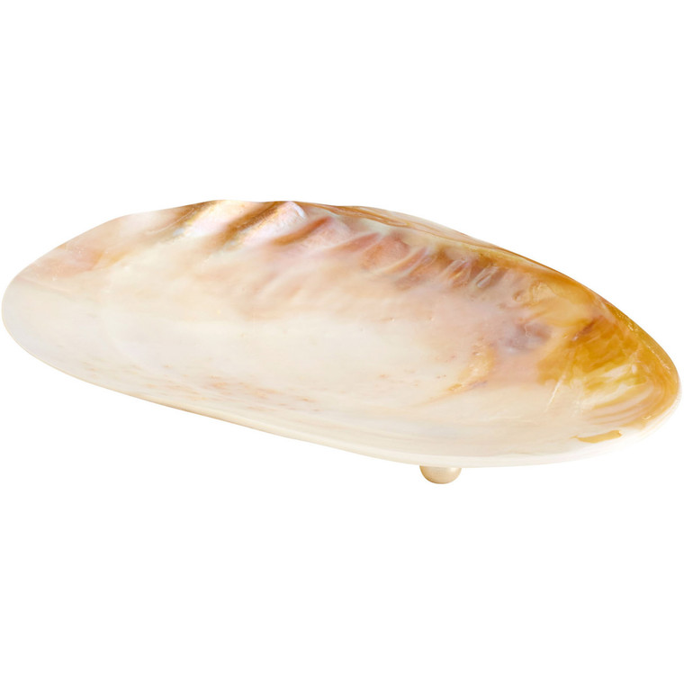 Cyan Design Small Abalone Tray 09834