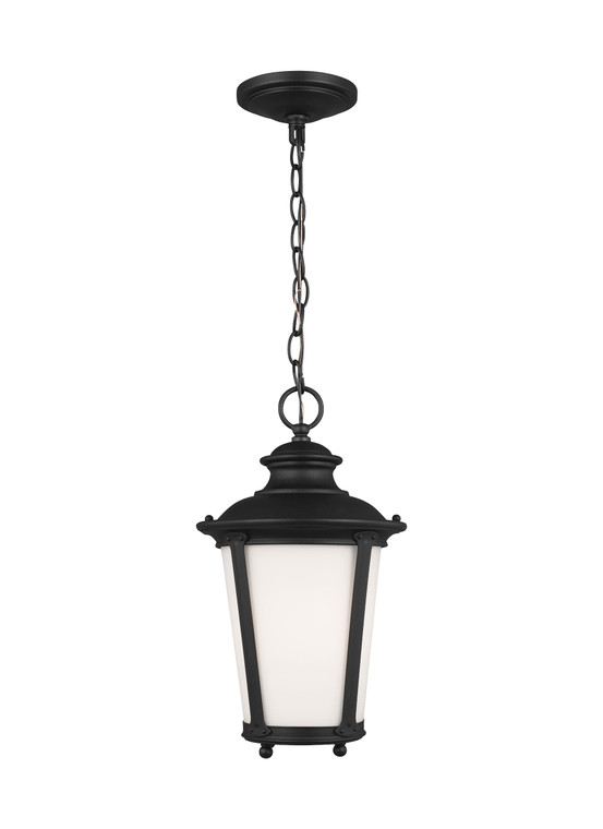 Generation Lighting Cape May Traditional 1 Light Outdoor Fixture in Black GL-62240-12