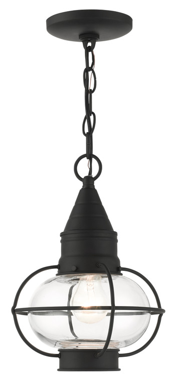 Livex Lighting Newburyport Collection  1 Light Black Outdoor Pendant Lantern in Black 26910-04