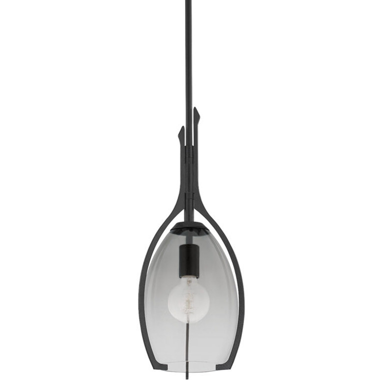 Troy Lighting 1 Light Pacifica Pendant in Forged Iron F8309-FOR
