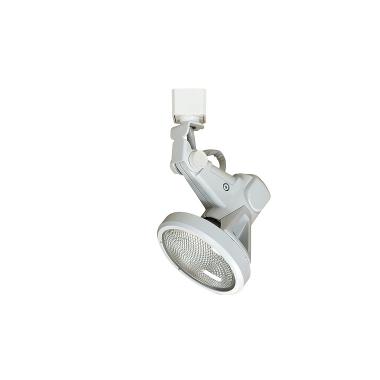 Nora Lighting BELGIUM GIMBAL PAR30 WH NTH-132W