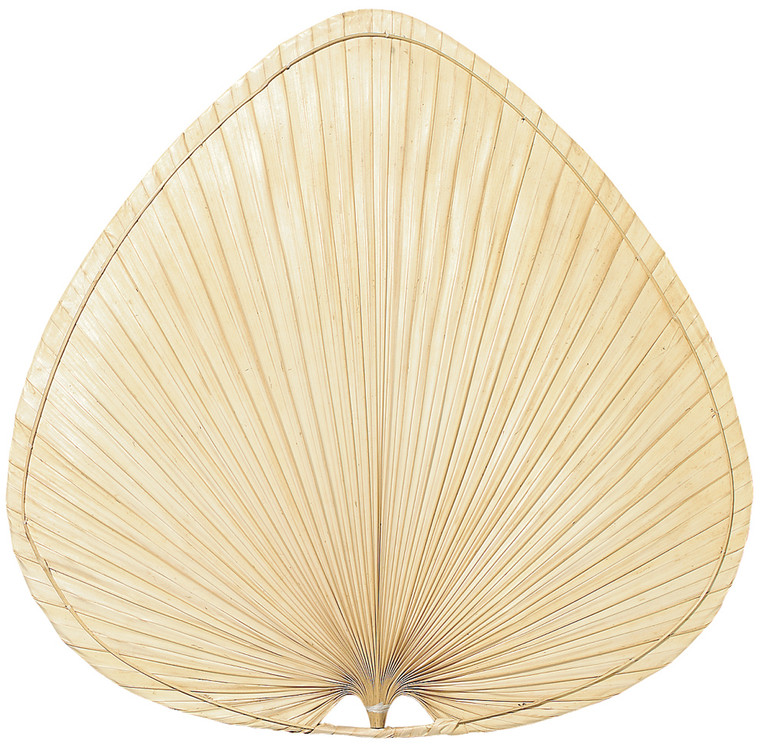 Fanimation Punkah Blade Set of 1 - 22 inch - Wide Oval Palm - N in Natural Indoor PUP1