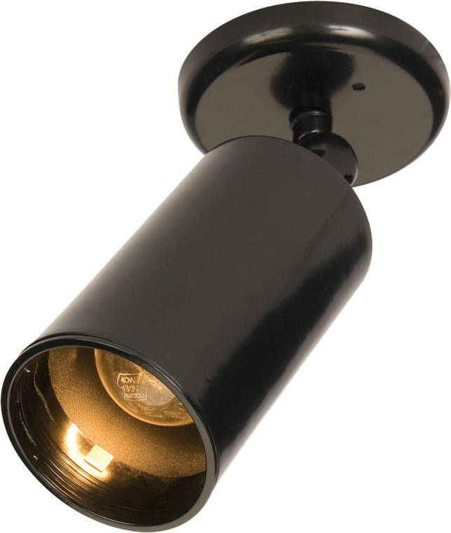 Maxim Spots 1-Light Can Wall/Flush Mount in Black 92010BK