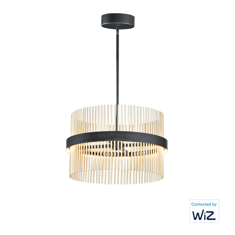 ET2 Contemporary Lighting Chimes 24'' LED Pendant WiZ in Black / Satin Brass E34205-BKSBR