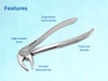 Dental Extraction Forceps (Lower Anterior for Roots) #33