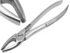 Dental Extraction Forceps (Upper Straight Wide Tip) #1