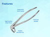 Dental Extraction Forceps (Lower Molar MD4) #22