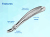 Dental Extraction Forceps  (Upper Right Molar) #17