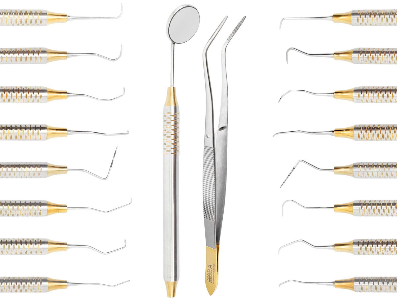Dental Hygienist Instruments Tool Kit Prophylaxis Professional Cleaning Set ARTMAN