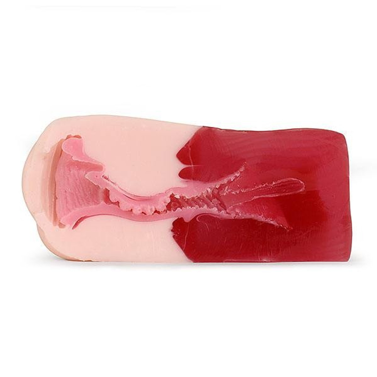 Gokusai Uterus