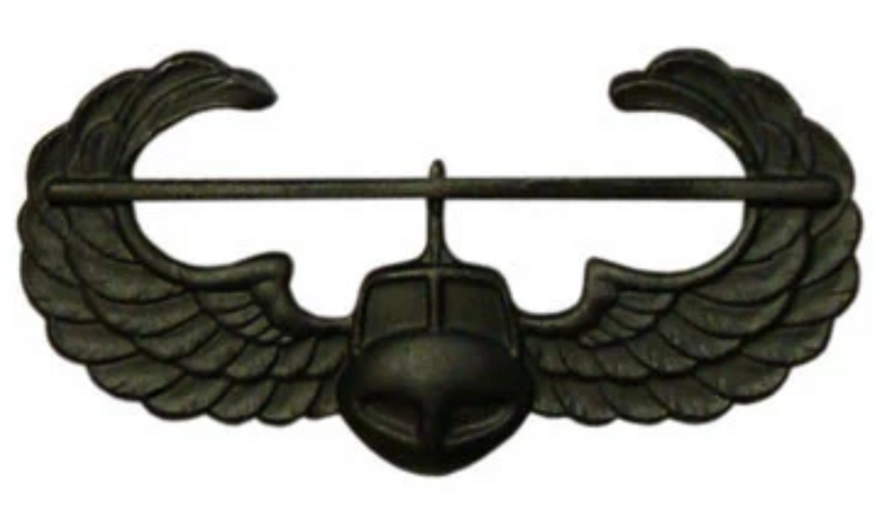 Air Assault Pin