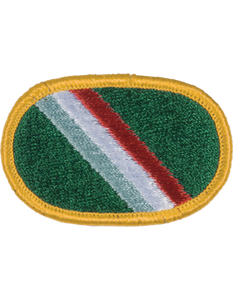 11th Special Forces Group Oval Patch 11th Special Forces Group Oval Patch