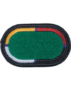 404th Civil Affairs Battalion Oval Patch