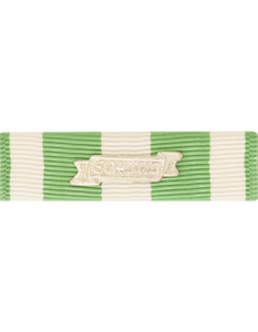 Republic of Vietnam Campaign with Date Bar Medal Ribbon Republic of Vietnam Campaign with Date Bar Medal Ribbon