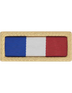 Philippine Presidential Unit Citation Award (Includes Rack) Philippine Presidential Unit Citation Award (Includes Rack)