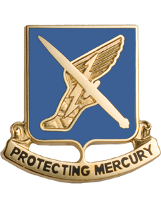 156th Information Operations Battalion Unit Crest 156th Information Operations Battalion Unit Crest