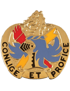 202nd Military Intelligence Battalion Unit Crest 202nd Military Intelligence Battalion Unit Crest