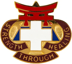 301st Field Hospital Army Distinctive Unit Insignia Medical Department Unit Crest
