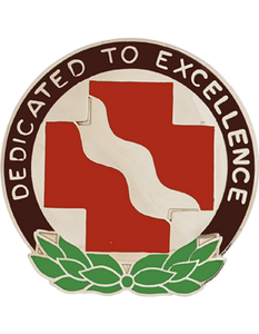341st Medical Battalion Army Distinctive Unit Insignia featuring Dedicated To Excellence motto