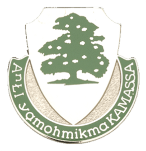 348th Regiment Unit Crest 348th Regiment Unit Crest