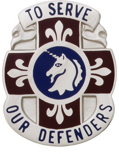 429th Medical Battalion Unit Crest 429th Medical Battalion Unit Crest