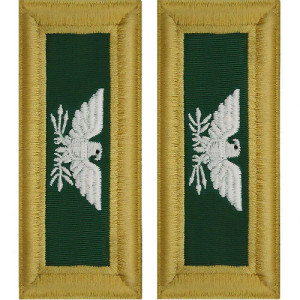 U.S. Army Special Forces Colonel Shoulder Boards - For Male Uniforms U.S. Army Special Forces Colonel Shoulder Boards - For Male Uniforms