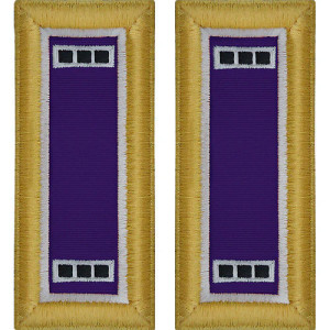 U.S. Army Civil Affairs Warrant Officer 3 Shoulder Boards - For Male Uniforms U.S. Army Civil Affairs Warrant Officer 3 Shoulder Boards - For Male Uniforms
