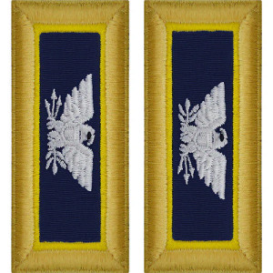 U.S. Army Chemical Colonel Shoulder Boards - For Male Uniforms U.S. Army Chemical Colonel Shoulder Boards - For Male Uniforms