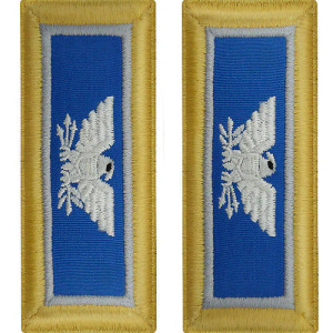 U.S. Army Military Intelligence Colonel Shoulder Boards - For Male Uniforms U.S. Army Military Intelligence Colonel Shoulder Boards - For Male Uniforms