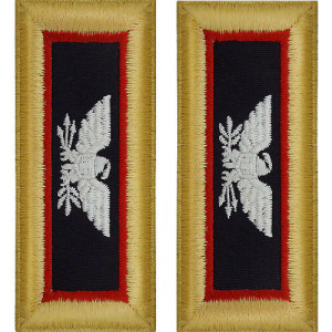 U.S. Army Adjutant General Colonel Shoulder Boards - For Male Uniforms U.S. Army Adjutant General Colonel Shoulder Boards - For Male Uniforms