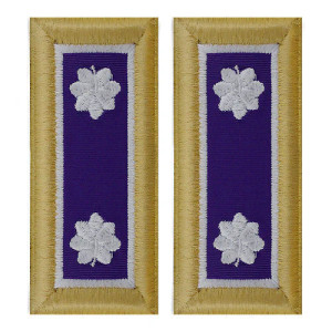 U.S. Army Civil Affairs Lieutenant Colonel Shoulder Boards - For Female Uniforms U.S. Army Civil Affairs Lieutenant Colonel Shoulder Boards - For Female Uniforms