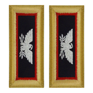 U.S. Army Adjutant General Colonel Shoulder Boards - For Female Uniforms U.S. Army Adjutant General Colonel Shoulder Boards - For Female Uniforms